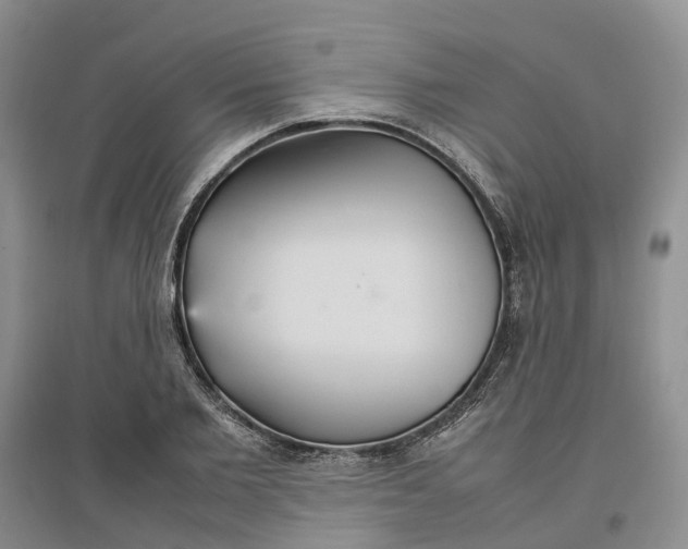 X0000096700885200802261602