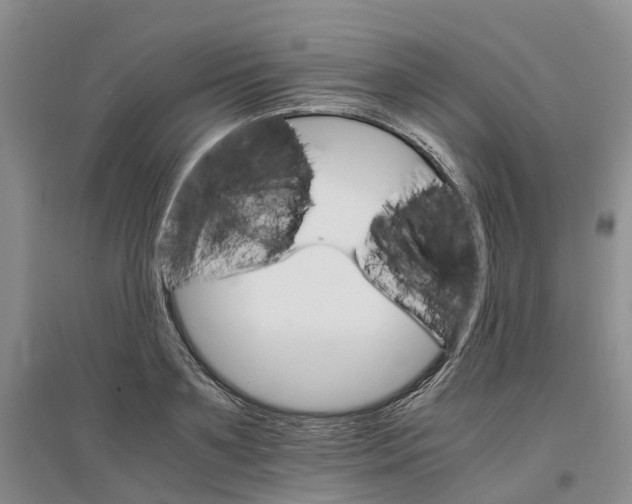 X0000096700891200802261602