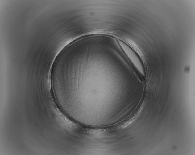 X0000096700892200802261602