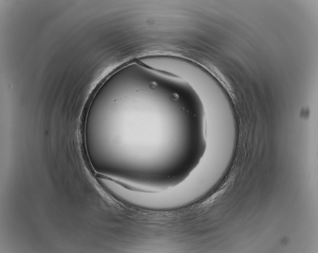 X0000096700893200802261602