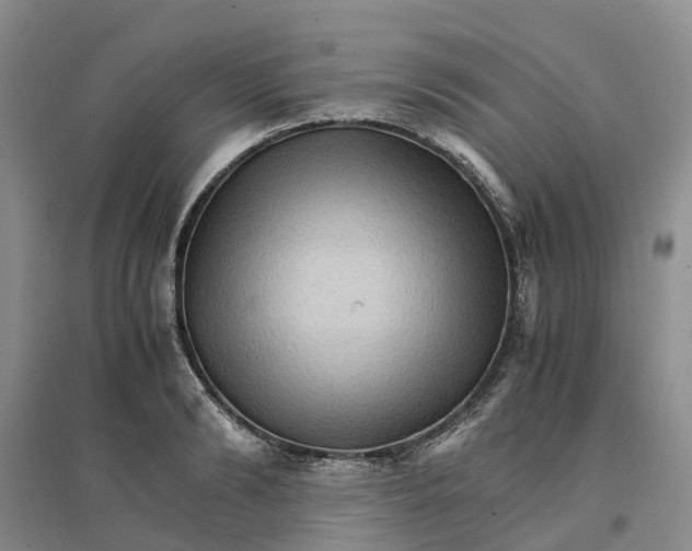 X0000096700894200802261602