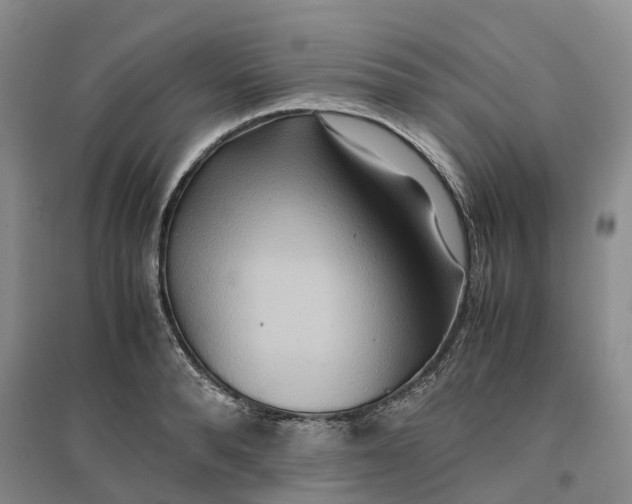 X0000096700896200802261602
