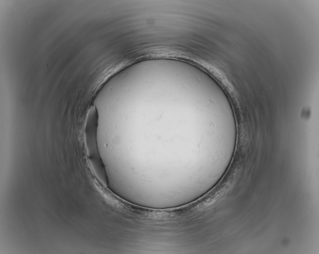 X0000096700897200802261602