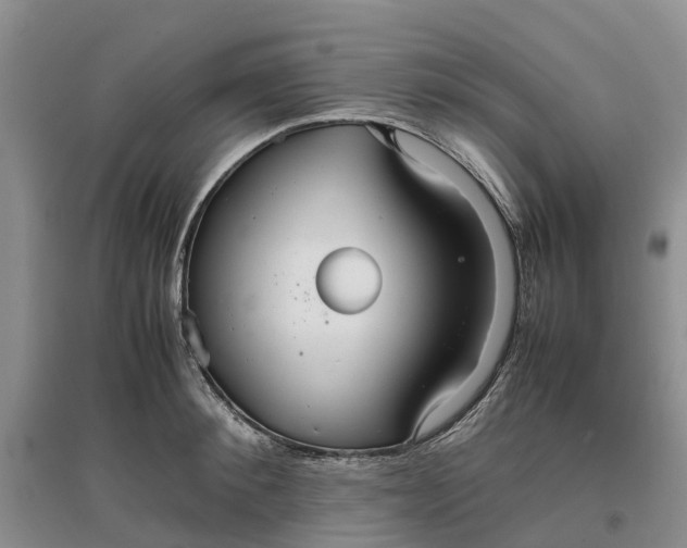 X0000096700900200802261602
