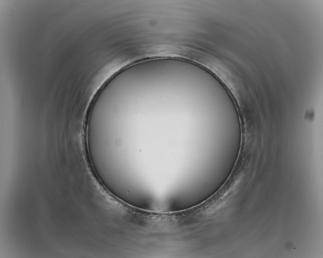 X0000096700901200802261602