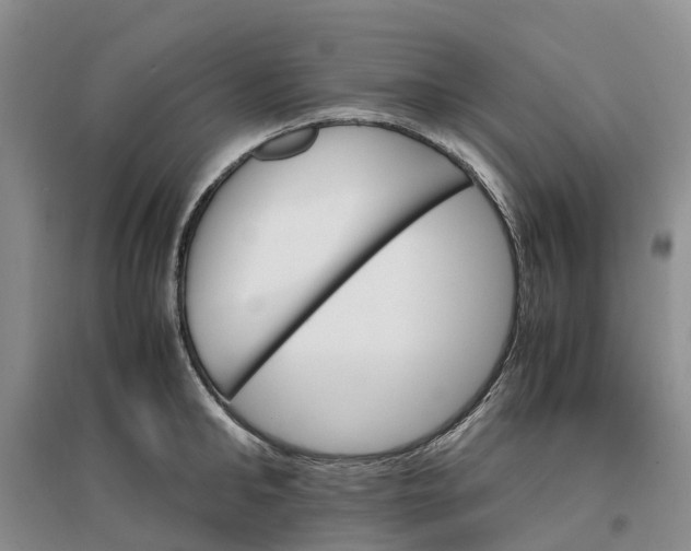 X0000096700902200802261602