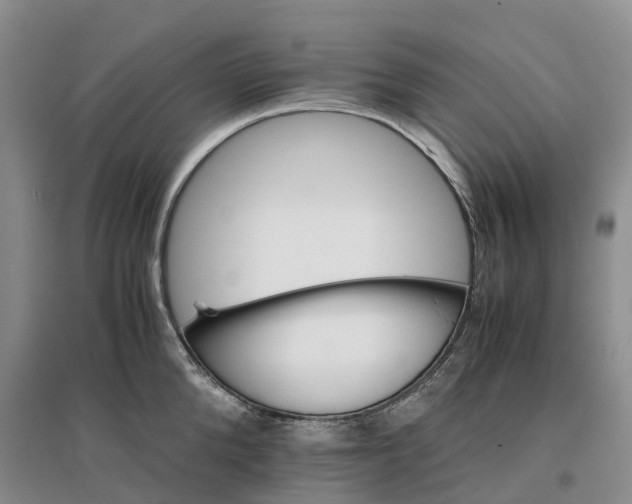 X0000096700904200802261602