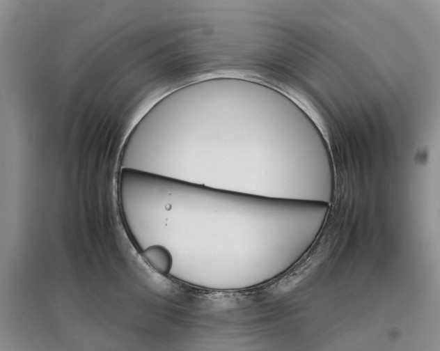 X0000096700906200802261602
