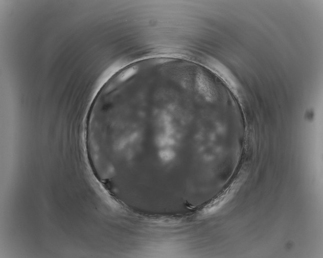 X0000096700907200802261602