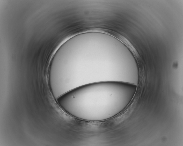 X0000096700908200802261602
