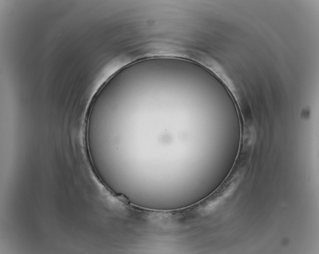 X0000096700909200802261602