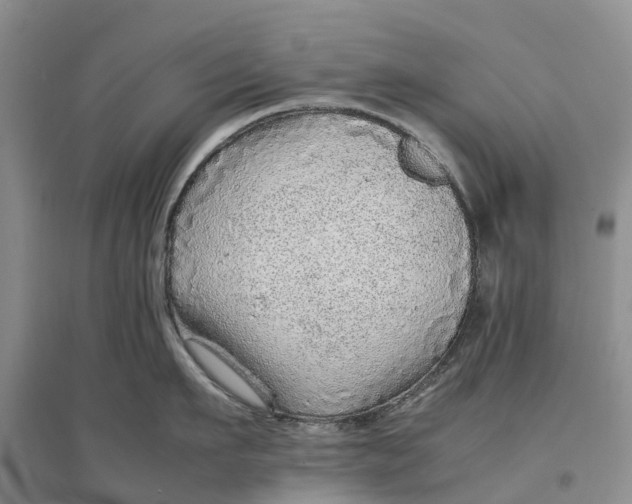X0000096700911200802261602