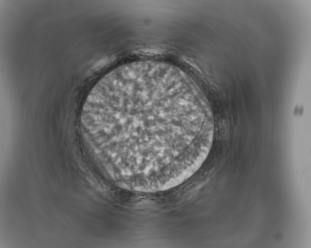 X0000096700913200802261601