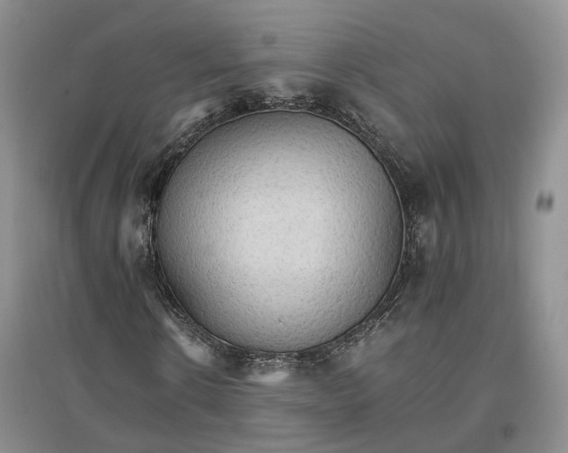 X0000096700914200802261601