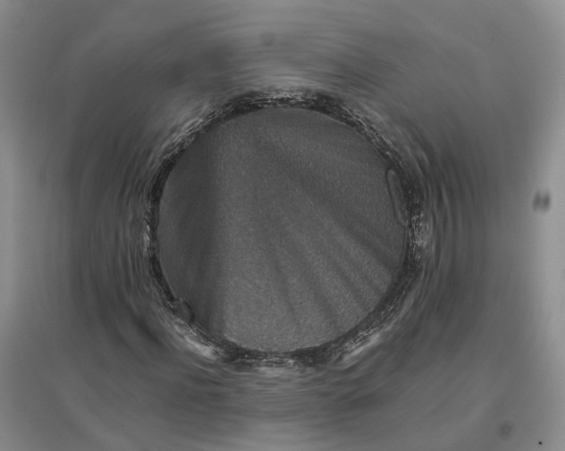 X0000096700916200802261601