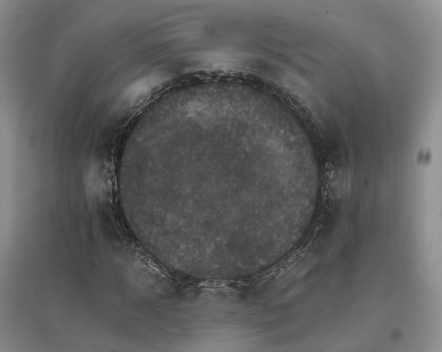 X0000096700918200802261601