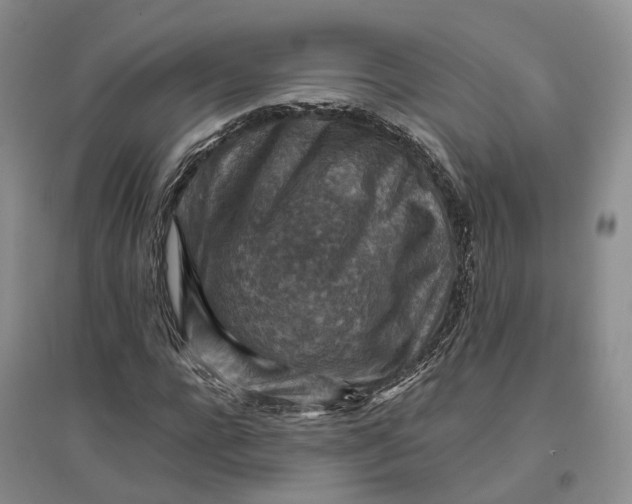 X0000096700920200802261601