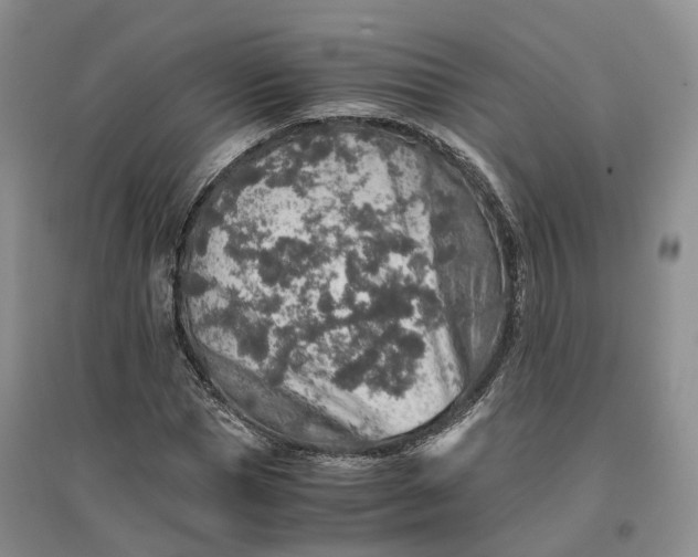 X0000096700921200802261601