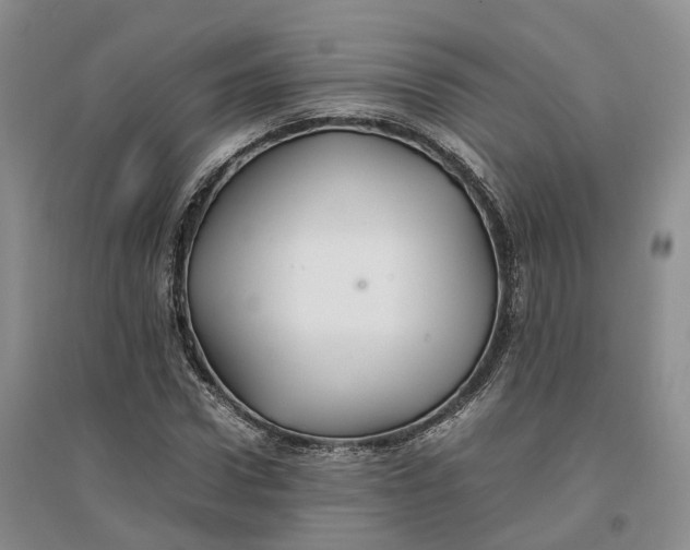 X0000096700922200802261601