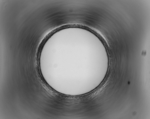 X0000096700927200802261601