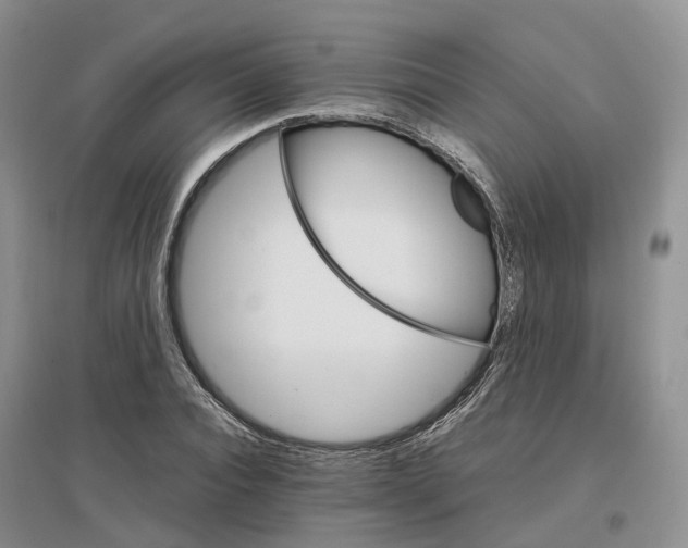 X0000096700928200802261601