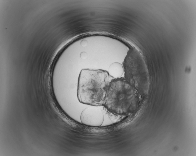 X0000096700933200802261601