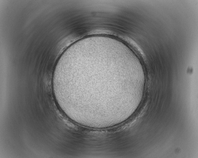 X0000096700937200802261601