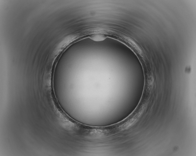 X0000096700938200802261601