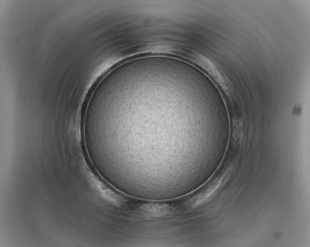 X0000096700939200802261601