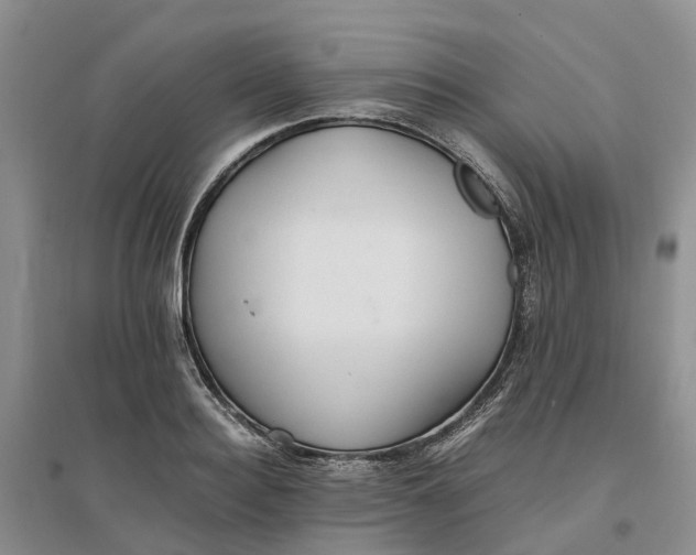 X0000096700940200802261601