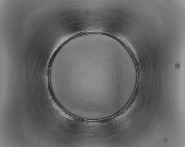 X0000096700941200802261601