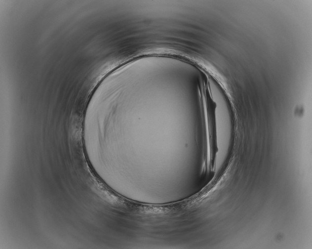 X0000096700945200802261602
