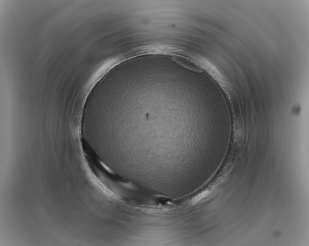 X0000096700946200802261602