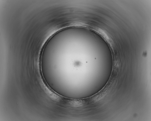 X0000096700947200802261602