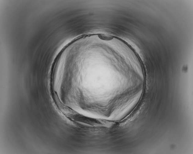 X0000096700949200802261602