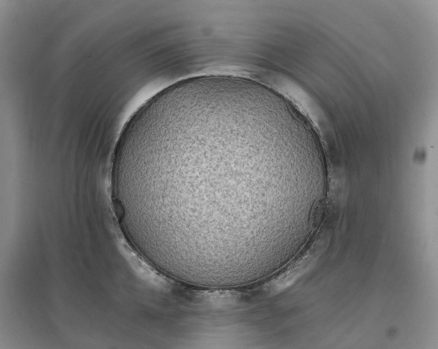 X0000096700952200802261602