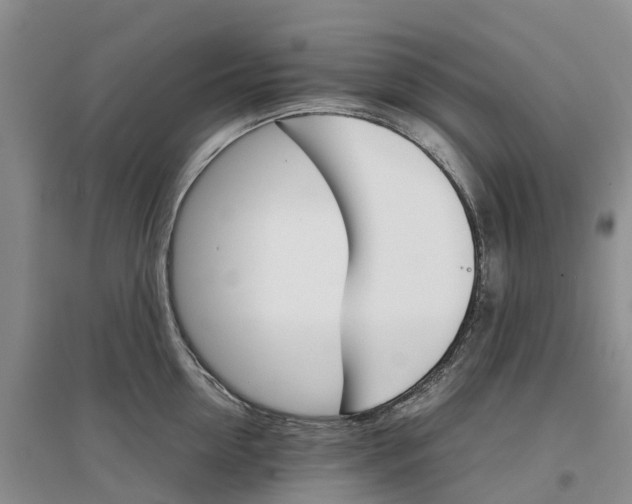 X0000096700954200802261602