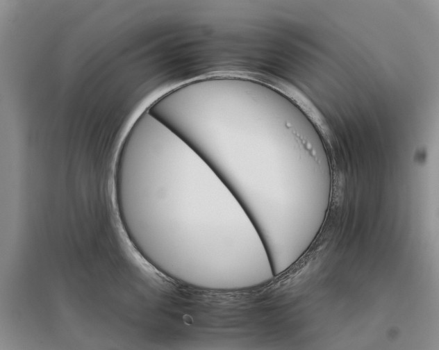 X0000096700955200802261602
