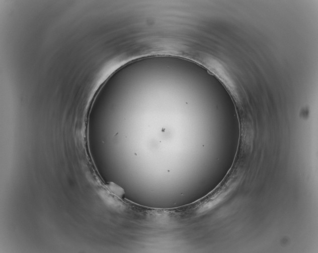 X0000096700956200802261602