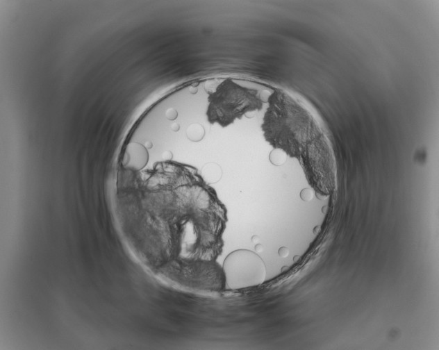 X0000096700957200802261602