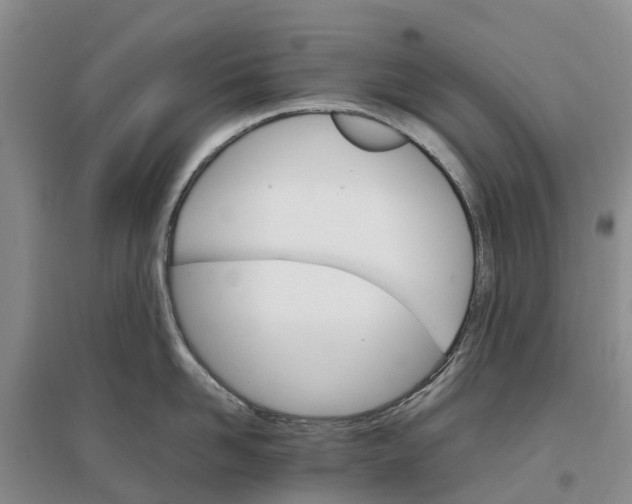 X0000096700958200802261602