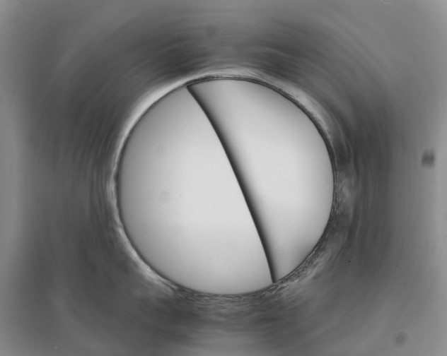 X0000096700959200802261602