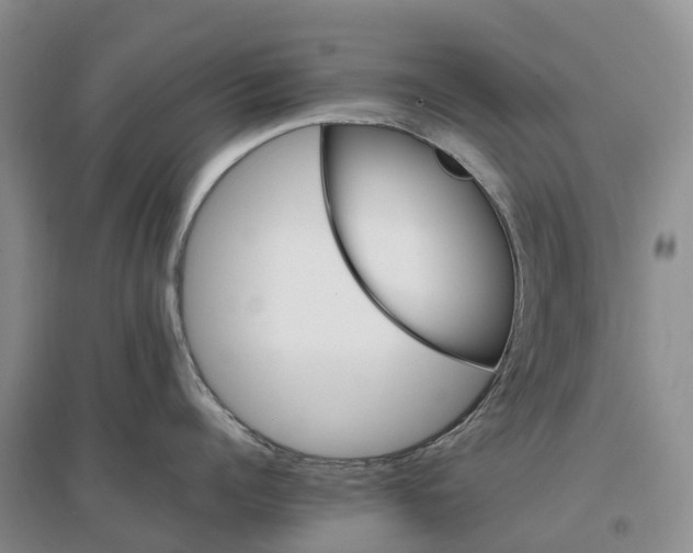 X0000096700960200802261602