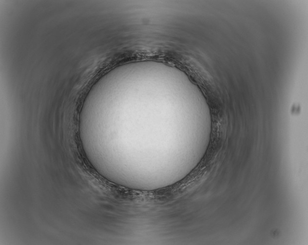 X0000096700961200802261601