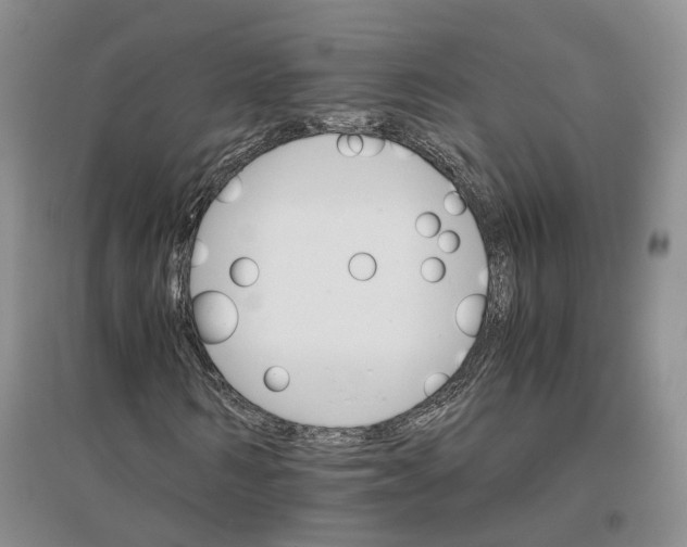 X0000096700962200802261601