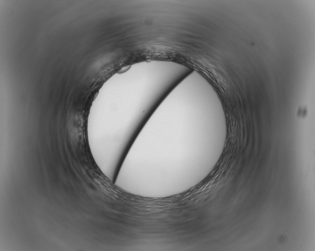 X0000096700964200802261601