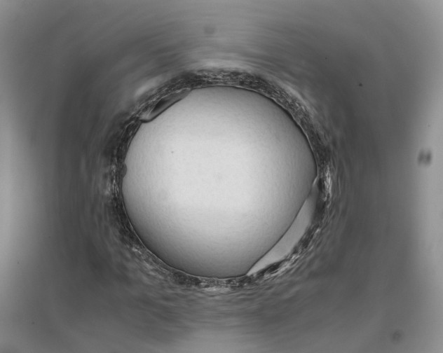 X0000096700965200802261601