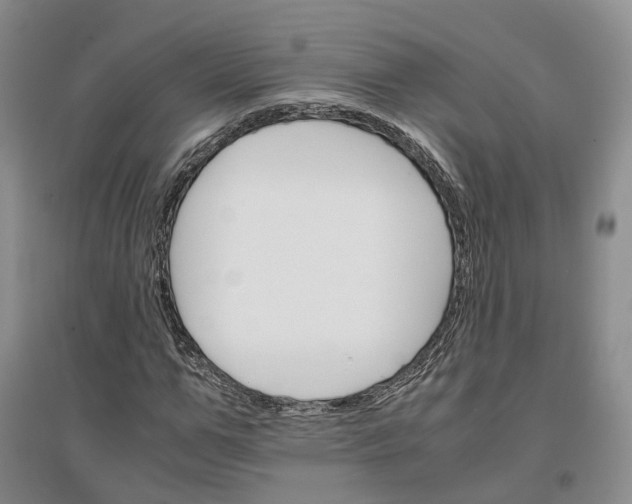X0000096700967200802261601