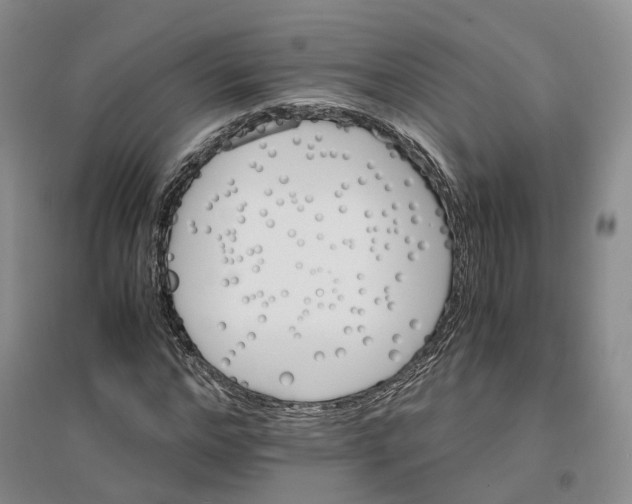 X0000096700968200802261601