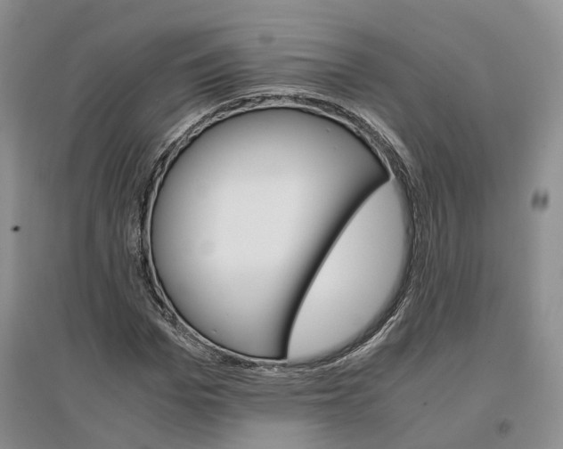 X0000096700969200802261601